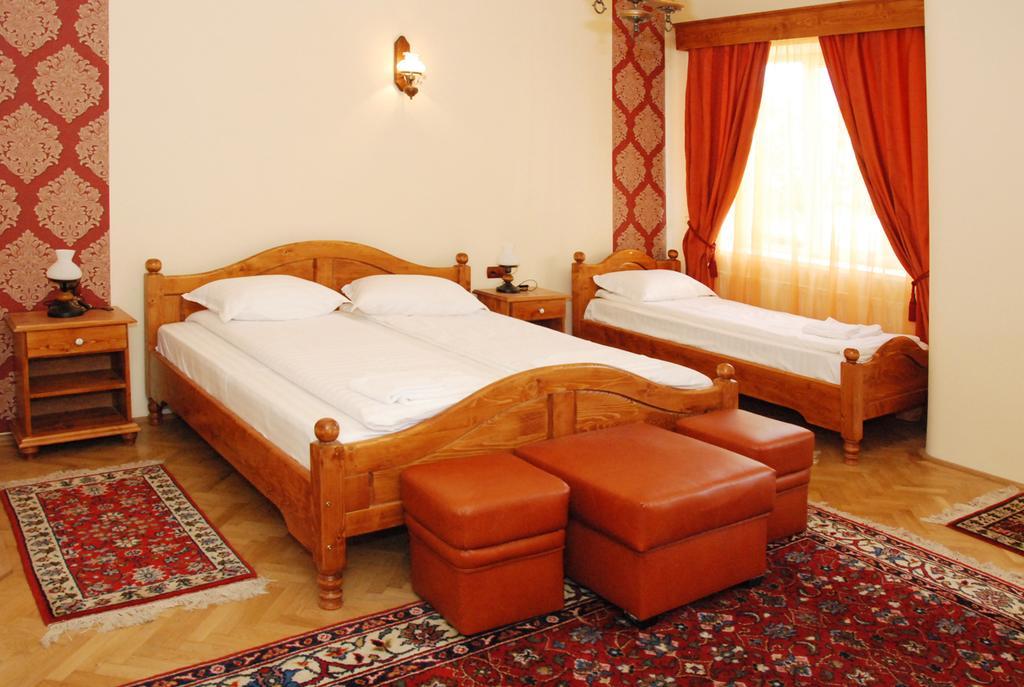 Vila Nicoleta Hotel Sibiu Exterior photo