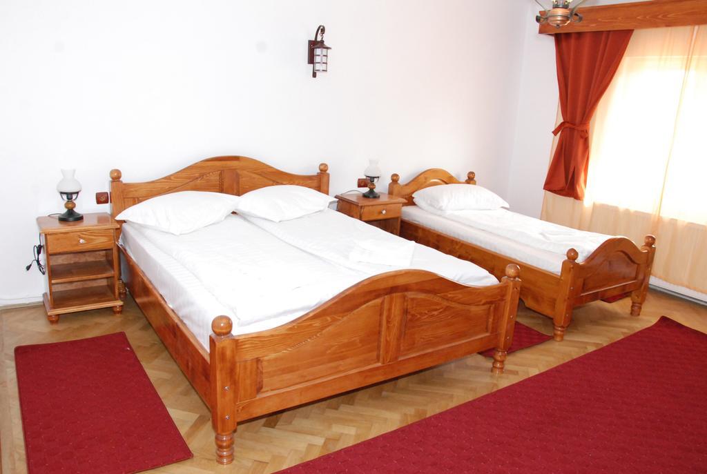 Vila Nicoleta Hotel Sibiu Exterior photo
